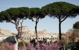 Rom maurits-bausenhart-yvX_PIRrujo-unsplash Kopie